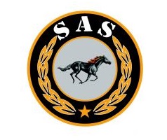 Sas Güvenlik